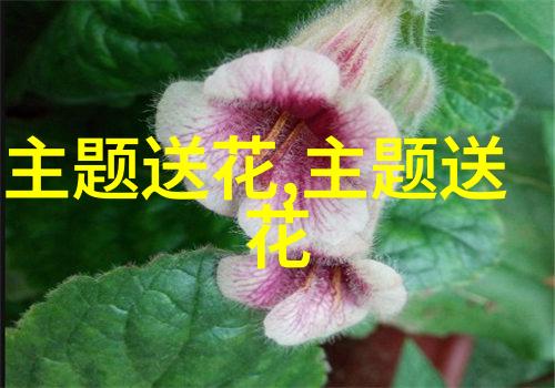清明节的文化内涵